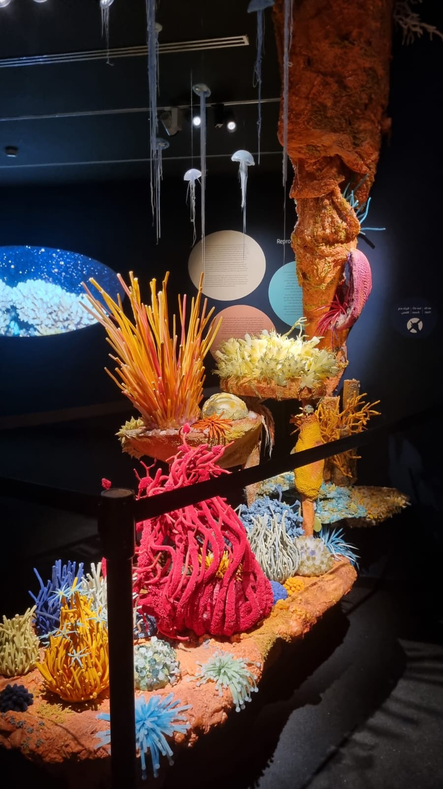 PHOTO-2025-06-29-19-37-24