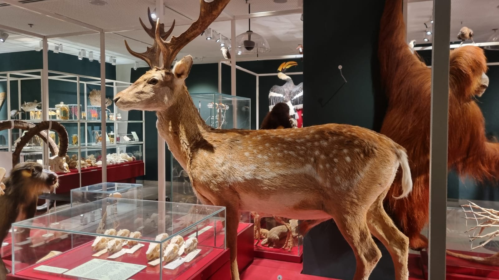 PHOTO-2025-06-29-19-37-25 2