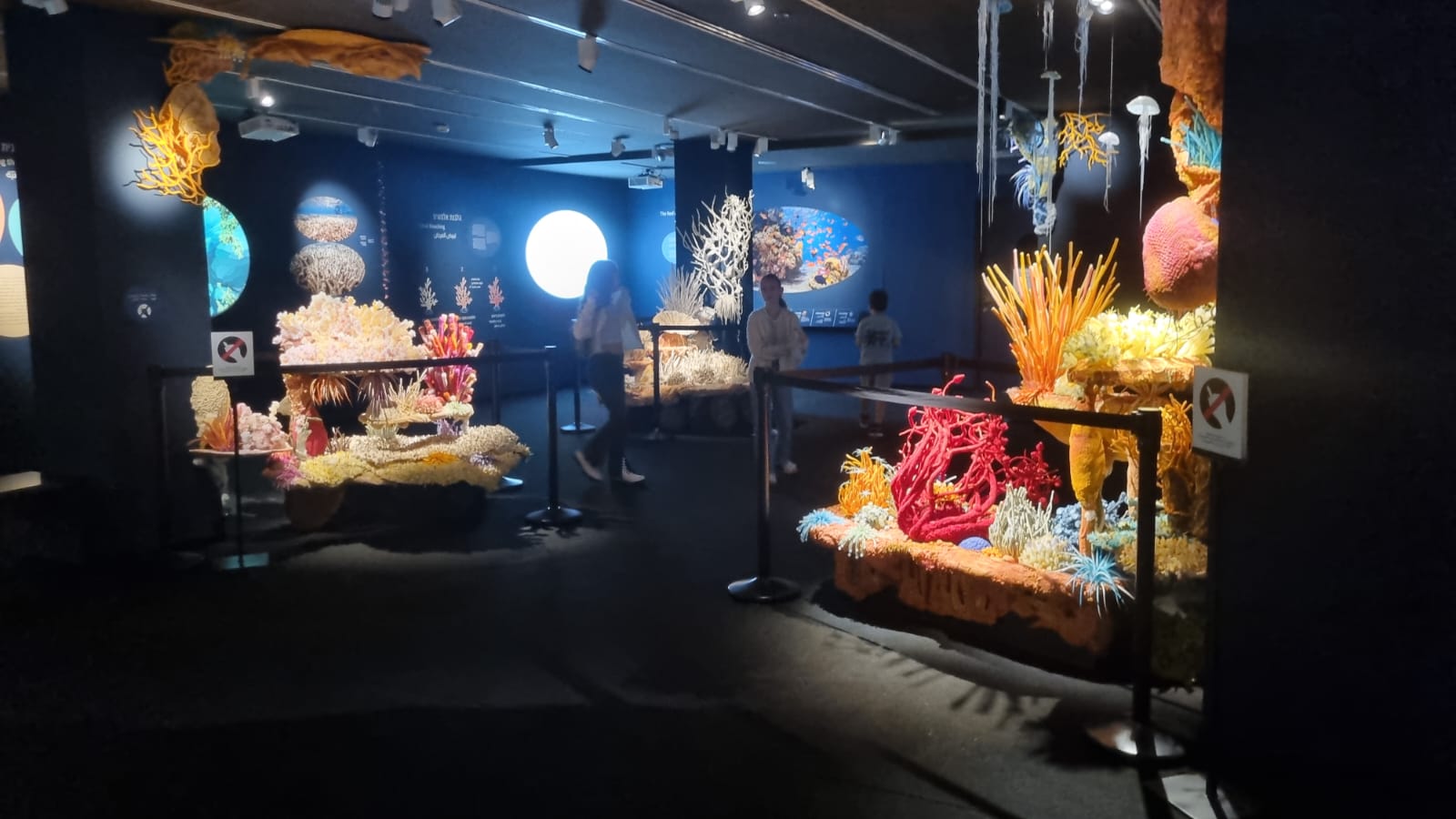 PHOTO-2025-06-29-19-37-25