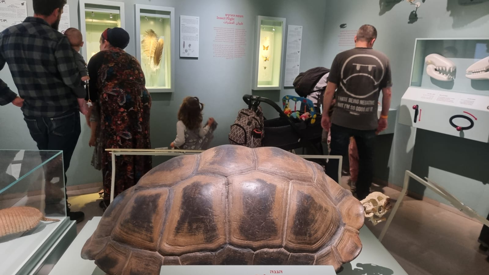 PHOTO-2025-06-29-19-37-27 2