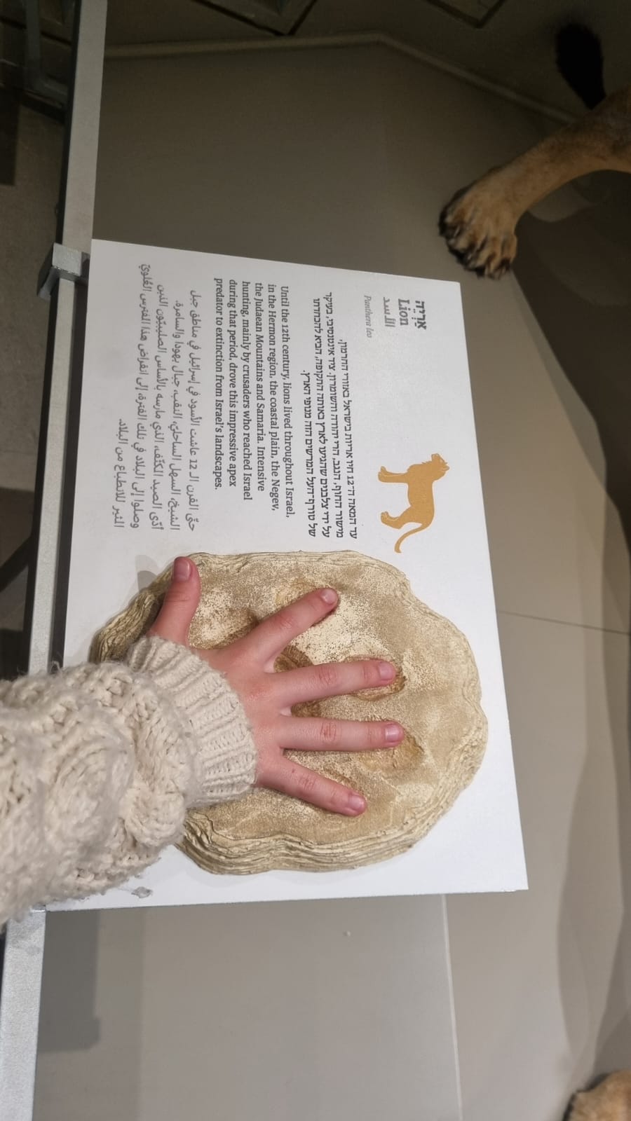 PHOTO-2025-06-29-19-37-27