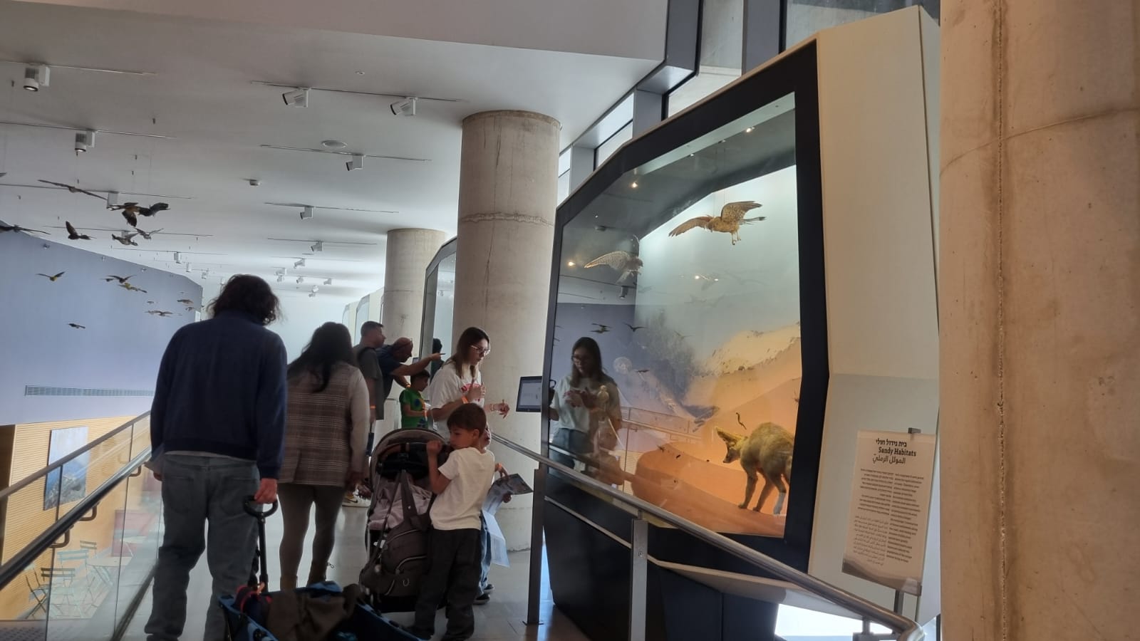 PHOTO-2025-06-29-19-37-29 2