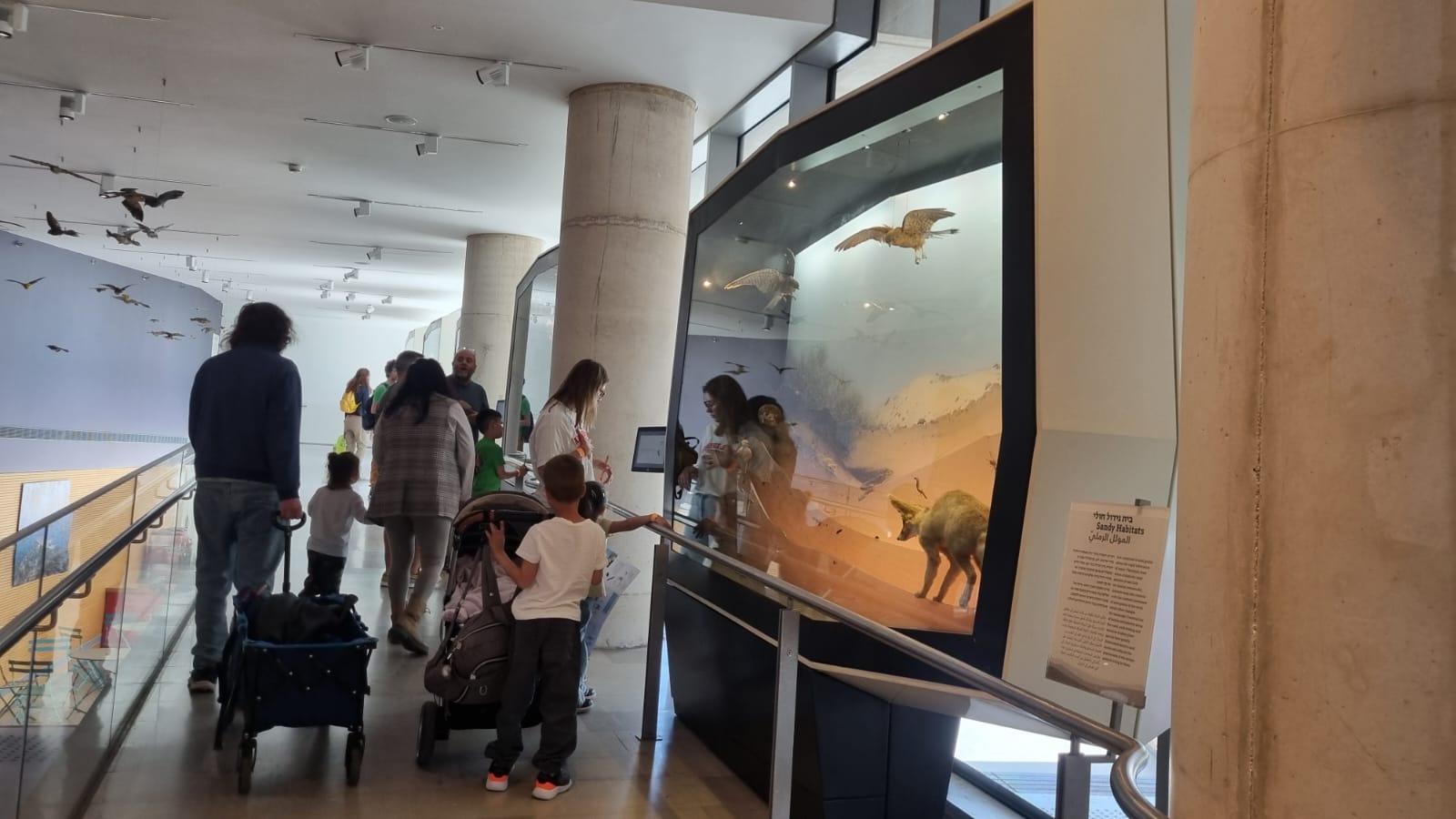 PHOTO-2025-06-29-19-37-29 3